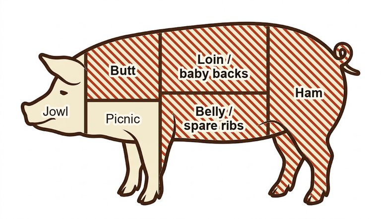 Pig with the pork cuts marked