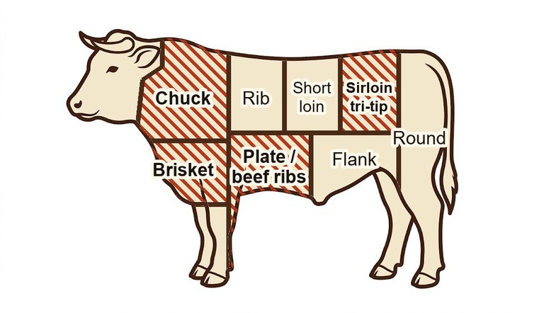 Steer with the beef cuts marked